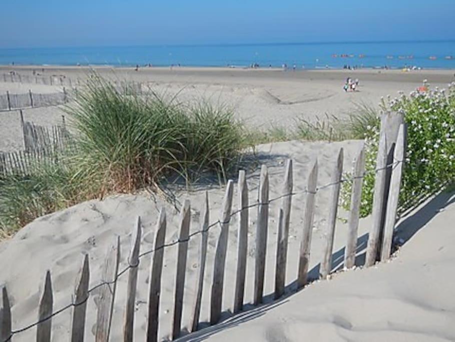 Logement A Deux Pas De La Plage Et Des Commerces Le Tréport Zewnętrze zdjęcie